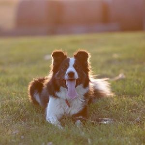 Meet your Posher, Peyton